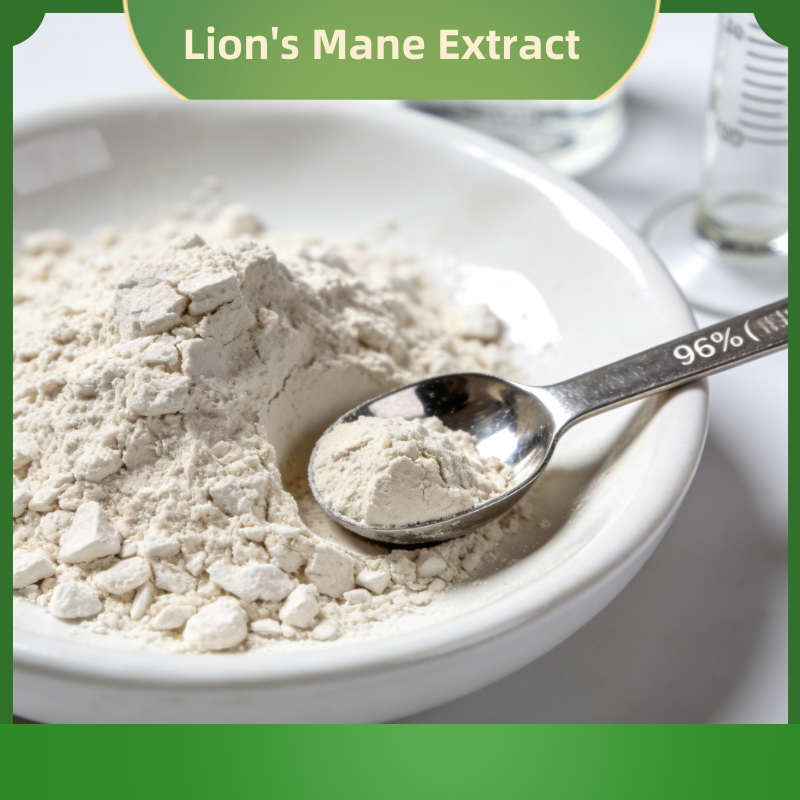 Lion’s Mane Extract 10% ~ 50% Polysaccharides
