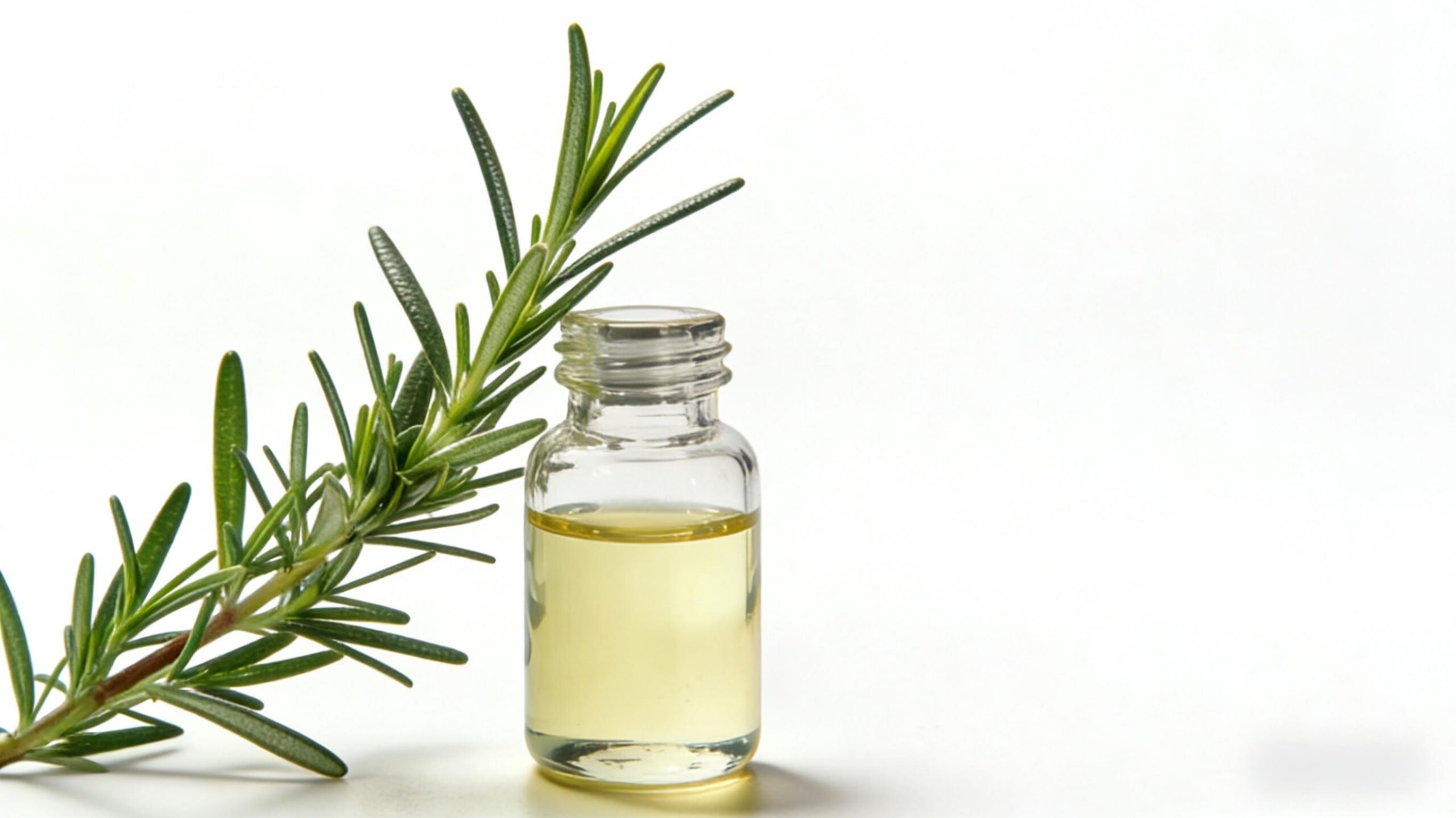 rosemary essential oils