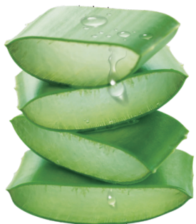 Aloe Vera Extract-Aloe Polysaccharides 10% ~ 30%