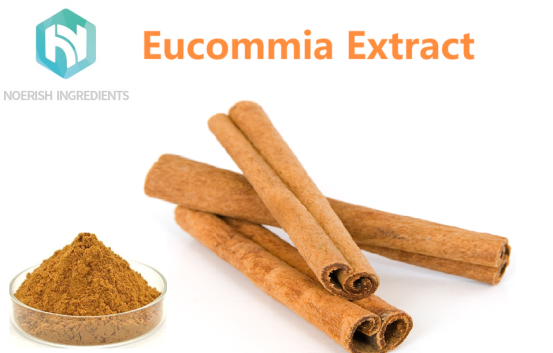 Cinnamon Bark Extract -Cinnamaldehyde 10% ~ 50%