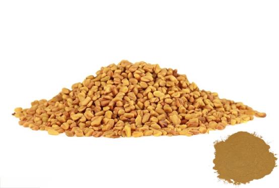 Fenugreek Seed Extract-4-Hydroxyisoleucine 20% ~ 50%