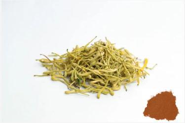 Honeysuckle Extract-Chlorogenic Acid 5% ~ 20%