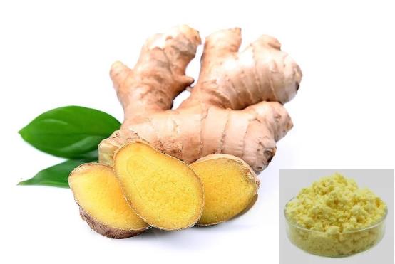 Turmeric Extract-Curcumin 95% ~ 98%