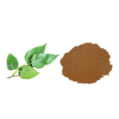White mulberry leaf extracts-1-Deoxynojimycin (1-DNJ) 1% ~ 10%