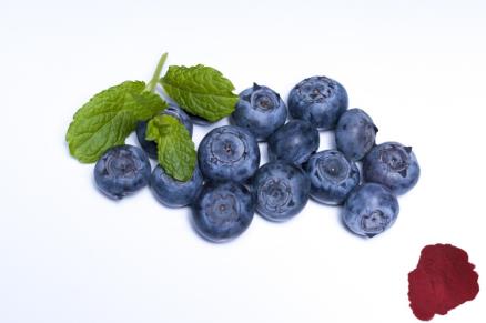 Blueberry Powder