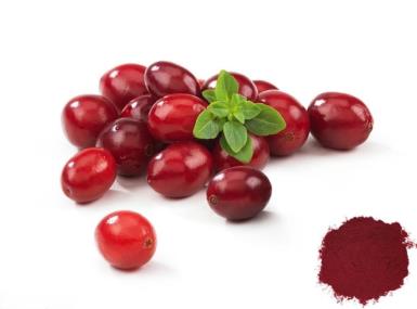Cranberry Powder