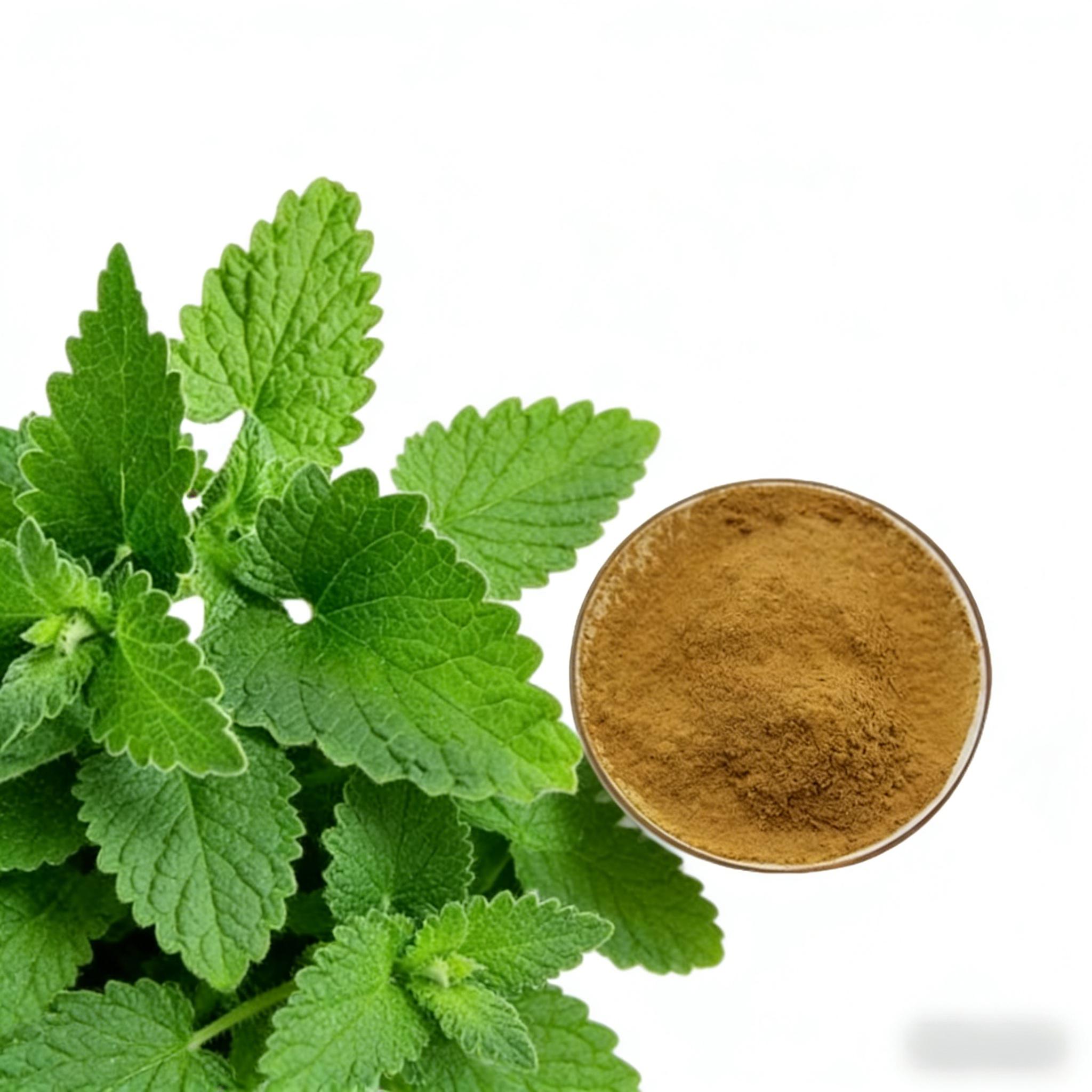 Lemon Balm Extract-Rosmarinic Acid 2% ~ 10%