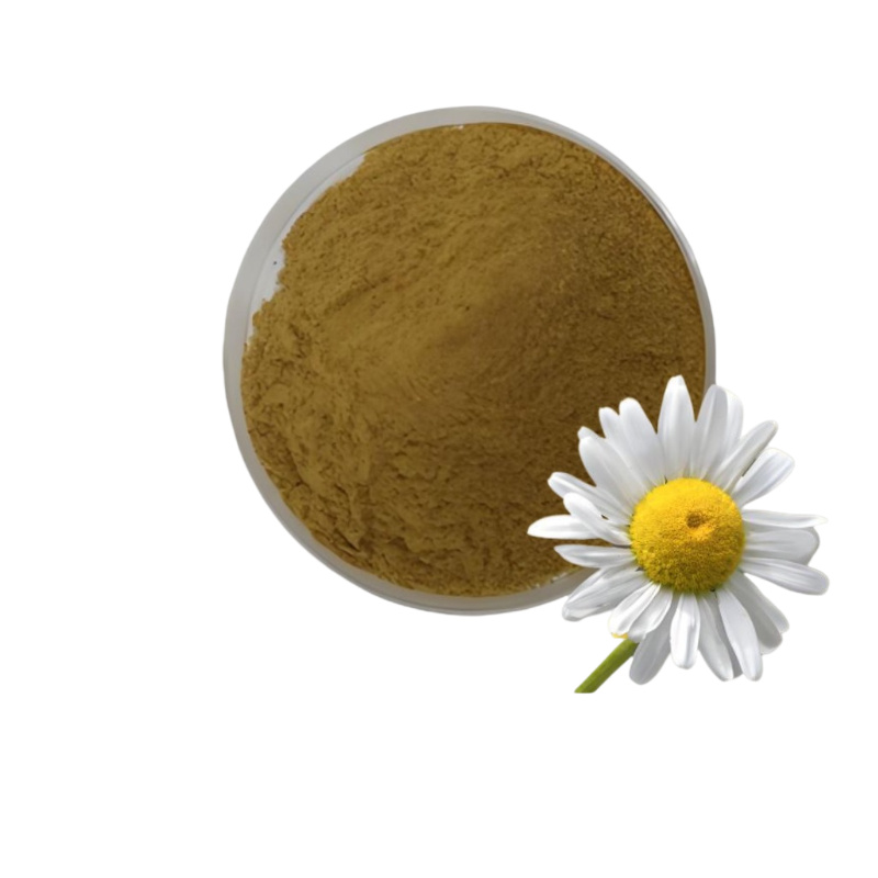 Echinacea Purpurea Extract
